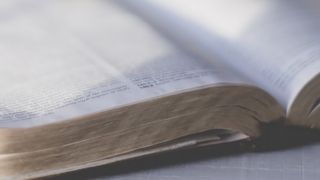 10 Commandments and God’s Way of Life