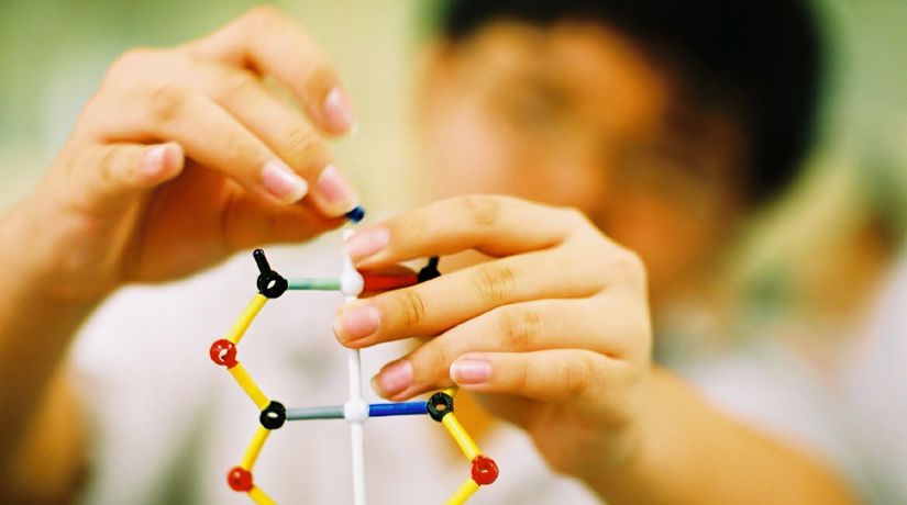 Can Christians Believe in Evolution?