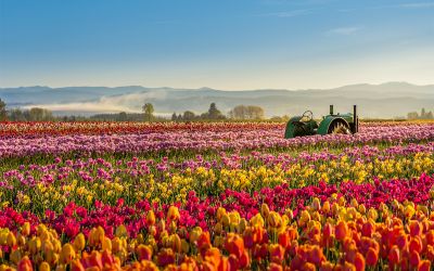 Colorful scenic photo to illustrate the article Caring for God’s Creation