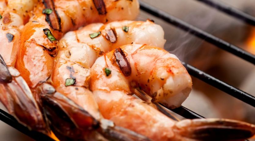 Clean and unclean animals