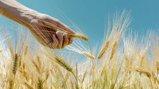 Did Jesus Keep the Sabbath Day?