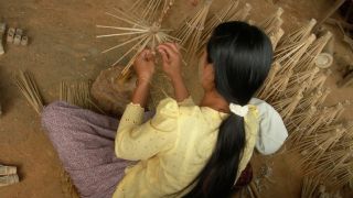 Diligence in the Bible