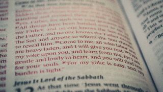 Do You Know the Lord of the Sabbath?
