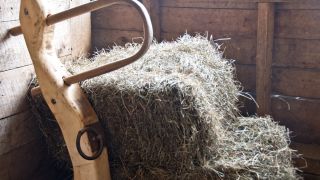 “My Yoke Is Easy”: Is Being a Christian Easy or Hard?