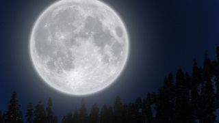 Festival Meaning: What Are the Meanings of Each of God’s Festivals?