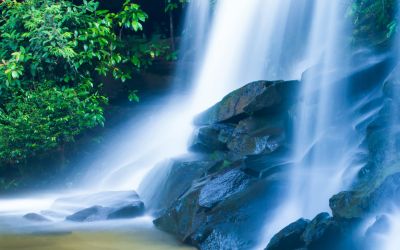 Finding the Fountain of Life