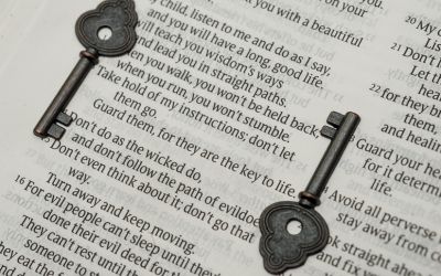 The Importance of Wisdom and How to Become Wiser