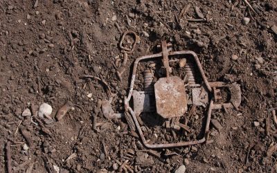 Christianity in Progress: How to Not Be a Stumbling Block