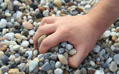 Life in a Glass House