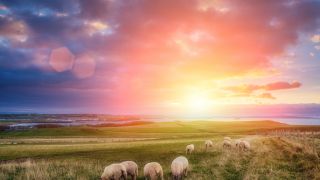 Life More Abundantly