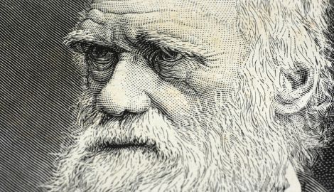 Microevolution vs Macroevolution