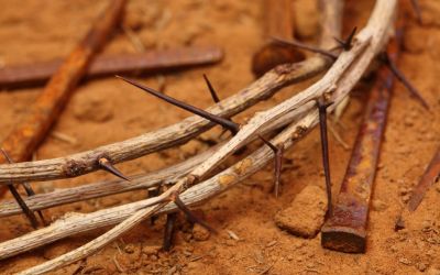 What Was Nailed to the Cross in Colossians 2:14?