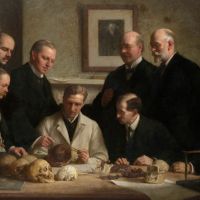 Frauds and Hoaxes in the Evolutionary Tree