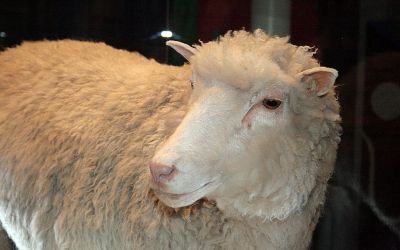 Playing God, or: “Everything I Know About Cloning I Learned From Jurassic Park”