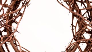 The Greatest Sacrifice Ever