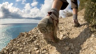 Seek First the Kingdom of God