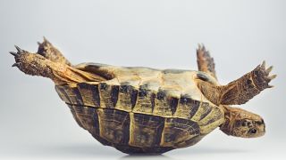 Seven Keys to Coping With the Trials and Tribulations of Life