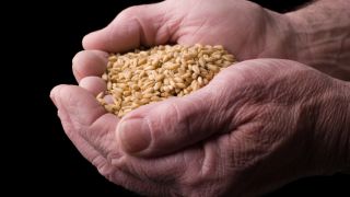 The 12 Tribes of Israel in History and Prophecy