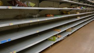 The Global Food Crisis