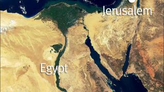 The King of the South