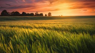 The Spiritual Meaning of Jubilee