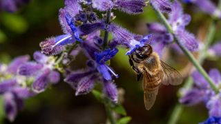 Three Reasons to Believe in God