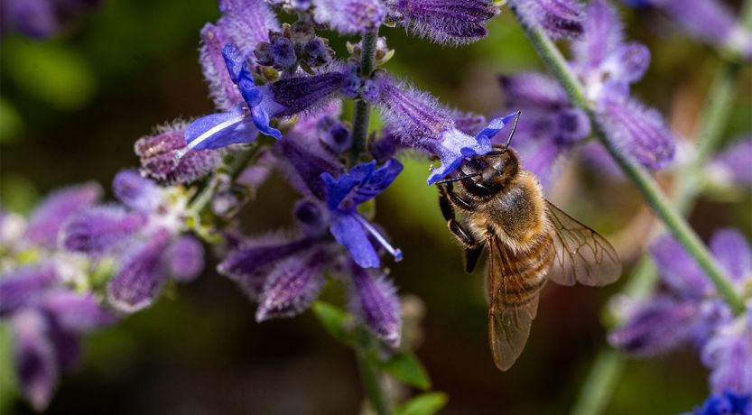 Three Reasons to Believe in God