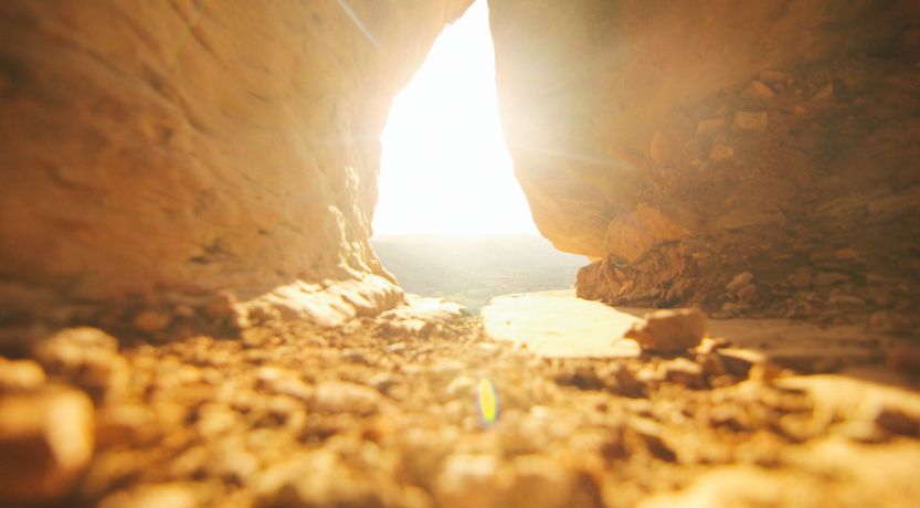 Two Very Different Resurrections