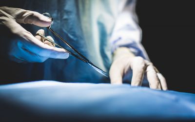 What It Takes to Change a Heart