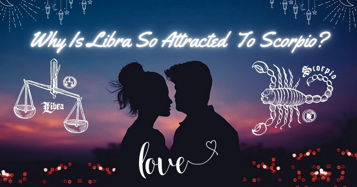 20 Exact Reasons Why Is Libra So Attracted To Scorpio Progrowinlife 